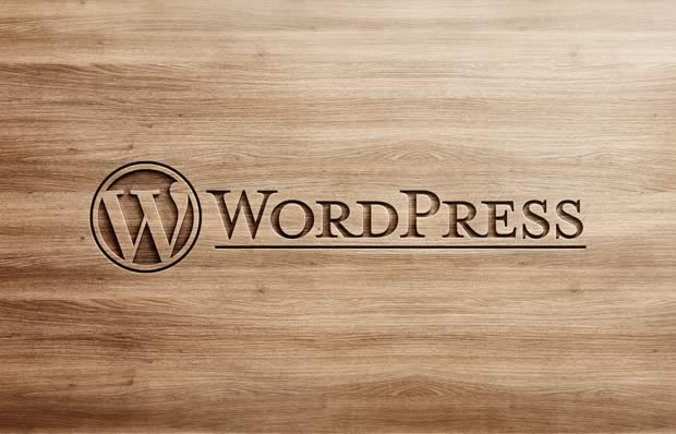 What is WordPress